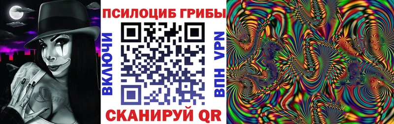 мега ТОР  Миасс  Псилоцибиновые грибы Psilocybine cubensis 